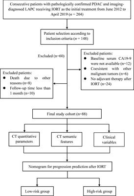 Combined CT and serum CA19-9 for stratifying risk for progression in patients with locally advanced pancreatic cancer receiving intraoperative radiotherapy